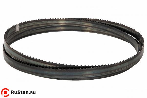 Полотно фото №1 F20.8.4064-4 фото №1